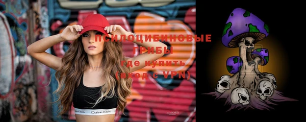 ПСИЛОЦИБИНОВЫЕ ГРИБЫ Богданович