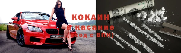 ПСИЛОЦИБИНОВЫЕ ГРИБЫ Богданович