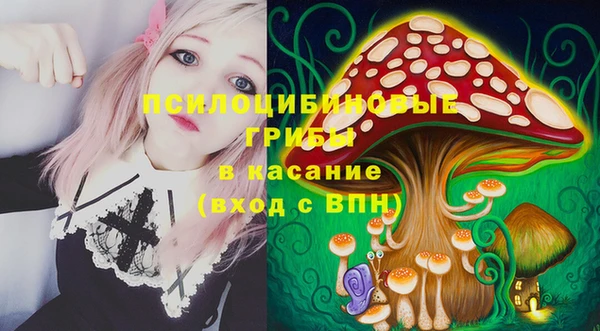 прущие крисы Беломорск