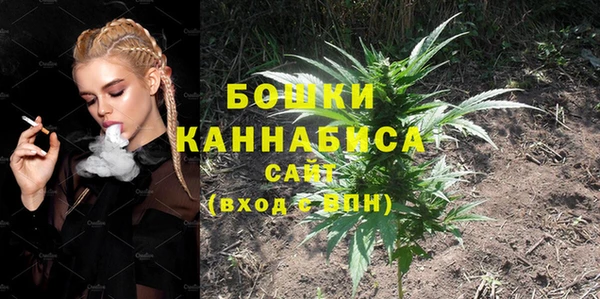 ПСИЛОЦИБИНОВЫЕ ГРИБЫ Богданович