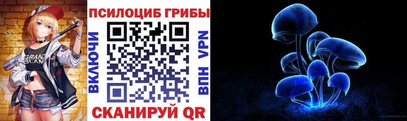 Галлюциногенные грибы ЛСД Белая Холуница